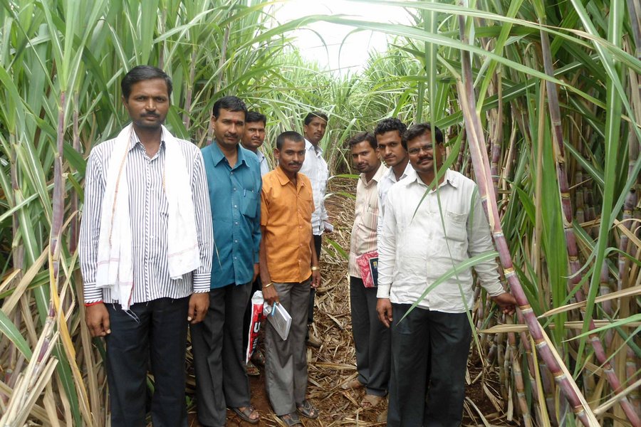 Großansicht Biomasse Gangakhed in Indien – https://fpm.climatepartner.com/tracking/12483-1705-1001/de