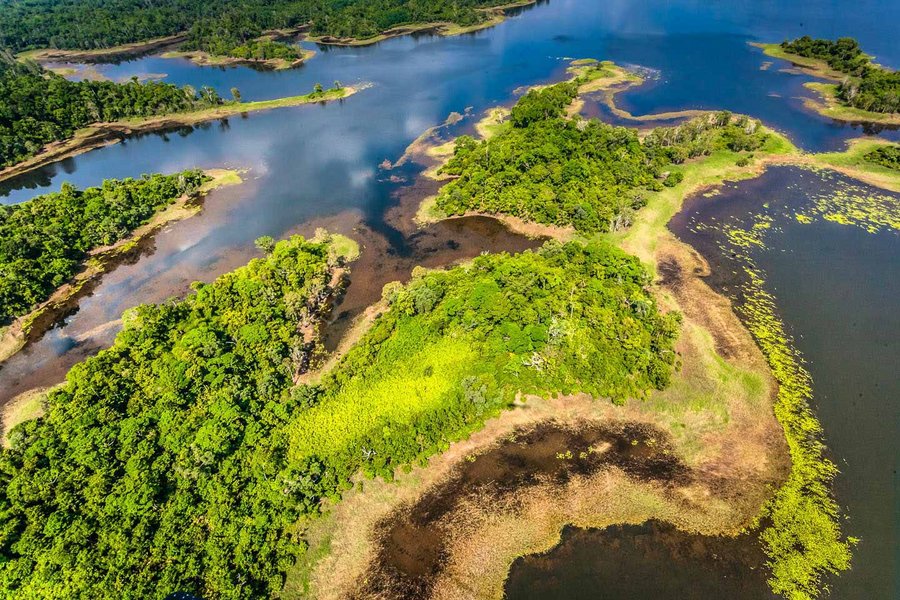 Großansicht Waldschutz April Salumei Papua-Neuguinea – https://fpm.climatepartner.com/tracking/12483-1705-1001/de