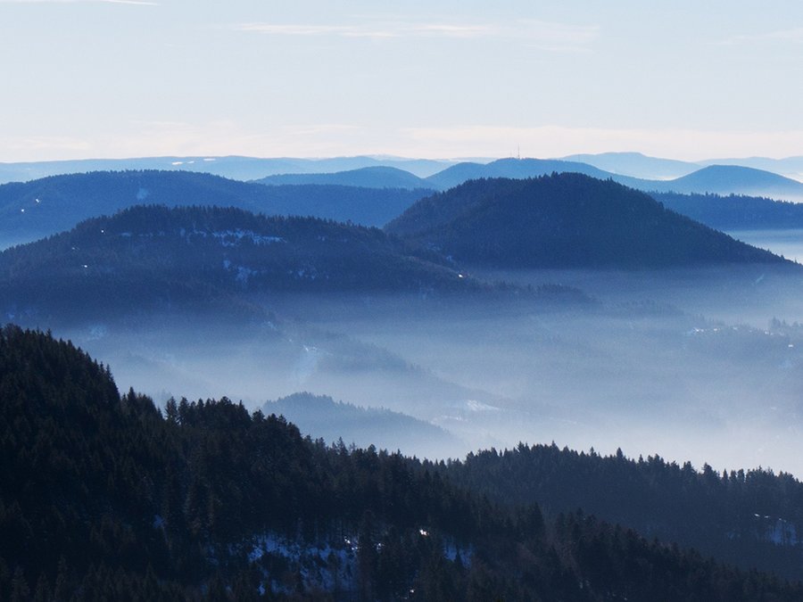 Image-Bild Nebelschwaden über weiten Wäldern im Schwarzwald